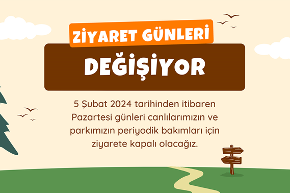 Haberler